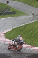 Newcomer 600 Racing Blue/White Bikes
