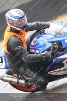 Newcomer 1000cc Racing Blue/White Bikes