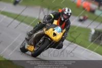 Endurance Race Green/Yellow Bikes