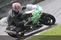 Open Race Green/Yellow Bikes