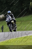 Inter Black/Silver Bikes