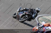 Inter Black/Silver Bikes
