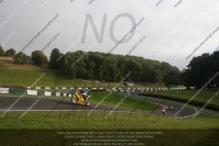 Fast Green/Yellow Bikes