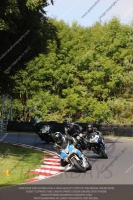 Inter Blue/White Bikes