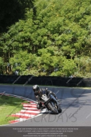 Novice Black/Silver Bikes