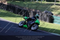 Novice Green/Yellow Bikes