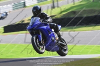 Fast Blue/White Bikes