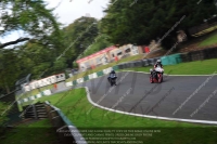 cadwell-no-limits-trackday;cadwell-park;cadwell-park-photographs;cadwell-trackday-photographs;enduro-digital-images;event-digital-images;eventdigitalimages;no-limits-trackdays;peter-wileman-photography;racing-digital-images;trackday-digital-images;trackday-photos