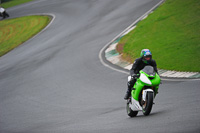Inter Green/Yellow Bikes