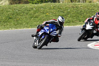 Novice Blue/White Bikes