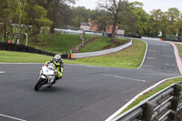 enduro-digital-images;event-digital-images;eventdigitalimages;no-limits-trackdays;oulton-no-limits-trackday;oulton-park-cheshire;oulton-trackday-photographs;peter-wileman-photography;racing-digital-images;trackday-digital-images;trackday-photos