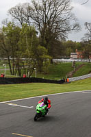 enduro-digital-images;event-digital-images;eventdigitalimages;no-limits-trackdays;oulton-no-limits-trackday;oulton-park-cheshire;oulton-trackday-photographs;peter-wileman-photography;racing-digital-images;trackday-digital-images;trackday-photos