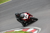 enduro-digital-images;event-digital-images;eventdigitalimages;no-limits-trackdays;oulton-no-limits-trackday;oulton-park-cheshire;oulton-trackday-photographs;peter-wileman-photography;racing-digital-images;trackday-digital-images;trackday-photos