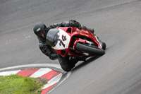 enduro-digital-images;event-digital-images;eventdigitalimages;no-limits-trackdays;oulton-no-limits-trackday;oulton-park-cheshire;oulton-trackday-photographs;peter-wileman-photography;racing-digital-images;trackday-digital-images;trackday-photos