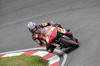 enduro-digital-images;event-digital-images;eventdigitalimages;no-limits-trackdays;oulton-no-limits-trackday;oulton-park-cheshire;oulton-trackday-photographs;peter-wileman-photography;racing-digital-images;trackday-digital-images;trackday-photos