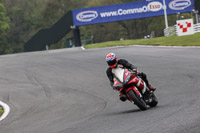 enduro-digital-images;event-digital-images;eventdigitalimages;no-limits-trackdays;oulton-no-limits-trackday;oulton-park-cheshire;oulton-trackday-photographs;peter-wileman-photography;racing-digital-images;trackday-digital-images;trackday-photos