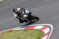 enduro-digital-images;event-digital-images;eventdigitalimages;no-limits-trackdays;oulton-no-limits-trackday;oulton-park-cheshire;oulton-trackday-photographs;peter-wileman-photography;racing-digital-images;trackday-digital-images;trackday-photos