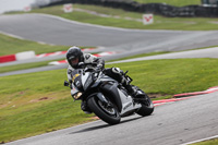 enduro-digital-images;event-digital-images;eventdigitalimages;no-limits-trackdays;oulton-no-limits-trackday;oulton-park-cheshire;oulton-trackday-photographs;peter-wileman-photography;racing-digital-images;trackday-digital-images;trackday-photos