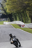 enduro-digital-images;event-digital-images;eventdigitalimages;no-limits-trackdays;oulton-no-limits-trackday;oulton-park-cheshire;oulton-trackday-photographs;peter-wileman-photography;racing-digital-images;trackday-digital-images;trackday-photos