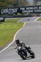 enduro-digital-images;event-digital-images;eventdigitalimages;no-limits-trackdays;oulton-no-limits-trackday;oulton-park-cheshire;oulton-trackday-photographs;peter-wileman-photography;racing-digital-images;trackday-digital-images;trackday-photos