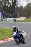 enduro-digital-images;event-digital-images;eventdigitalimages;no-limits-trackdays;oulton-no-limits-trackday;oulton-park-cheshire;oulton-trackday-photographs;peter-wileman-photography;racing-digital-images;trackday-digital-images;trackday-photos