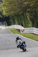 enduro-digital-images;event-digital-images;eventdigitalimages;no-limits-trackdays;oulton-no-limits-trackday;oulton-park-cheshire;oulton-trackday-photographs;peter-wileman-photography;racing-digital-images;trackday-digital-images;trackday-photos