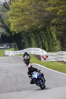 enduro-digital-images;event-digital-images;eventdigitalimages;no-limits-trackdays;oulton-no-limits-trackday;oulton-park-cheshire;oulton-trackday-photographs;peter-wileman-photography;racing-digital-images;trackday-digital-images;trackday-photos