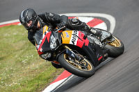 enduro-digital-images;event-digital-images;eventdigitalimages;no-limits-trackdays;oulton-no-limits-trackday;oulton-park-cheshire;oulton-trackday-photographs;peter-wileman-photography;racing-digital-images;trackday-digital-images;trackday-photos