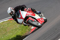 enduro-digital-images;event-digital-images;eventdigitalimages;no-limits-trackdays;oulton-no-limits-trackday;oulton-park-cheshire;oulton-trackday-photographs;peter-wileman-photography;racing-digital-images;trackday-digital-images;trackday-photos