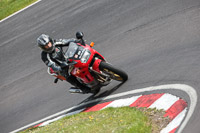 enduro-digital-images;event-digital-images;eventdigitalimages;no-limits-trackdays;oulton-no-limits-trackday;oulton-park-cheshire;oulton-trackday-photographs;peter-wileman-photography;racing-digital-images;trackday-digital-images;trackday-photos