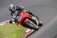 enduro-digital-images;event-digital-images;eventdigitalimages;no-limits-trackdays;oulton-no-limits-trackday;oulton-park-cheshire;oulton-trackday-photographs;peter-wileman-photography;racing-digital-images;trackday-digital-images;trackday-photos