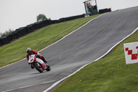 enduro-digital-images;event-digital-images;eventdigitalimages;no-limits-trackdays;oulton-no-limits-trackday;oulton-park-cheshire;oulton-trackday-photographs;peter-wileman-photography;racing-digital-images;trackday-digital-images;trackday-photos