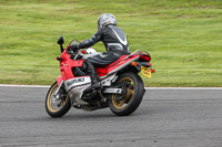 enduro-digital-images;event-digital-images;eventdigitalimages;no-limits-trackdays;oulton-no-limits-trackday;oulton-park-cheshire;oulton-trackday-photographs;peter-wileman-photography;racing-digital-images;trackday-digital-images;trackday-photos