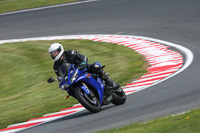 Novice Blue/White Bikes
