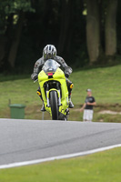 Fast Green/Yellow Bikes