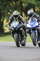 Evening Fast/Inter Black/silver Bikes