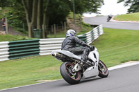 Evening Fast/Inter Blue/White Bikes