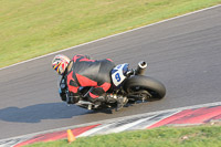 Evening Fast/Inter Blue/White Bikes