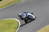 Fast Blue/White Bikes
