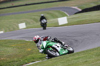 Inter Green/Yellow Bikes