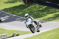 brands-hatch-photographs;brands-no-limits-trackday;cadwell-trackday-photographs;enduro-digital-images;event-digital-images;eventdigitalimages;no-limits-trackdays;peter-wileman-photography;racing-digital-images;trackday-digital-images;trackday-photos