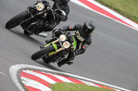 Novice Green/Yellow Bikes