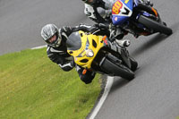 Inter Green/Yellow Bikes