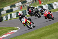 cadwell-no-limits-trackday;cadwell-park;cadwell-park-photographs;cadwell-trackday-photographs;enduro-digital-images;event-digital-images;eventdigitalimages;no-limits-trackdays;peter-wileman-photography;racing-digital-images;trackday-digital-images;trackday-photos