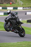 Evening Fast/Inter Black/silver Bikes