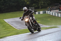 Evening Novice/Inter Black/Silver Bikes