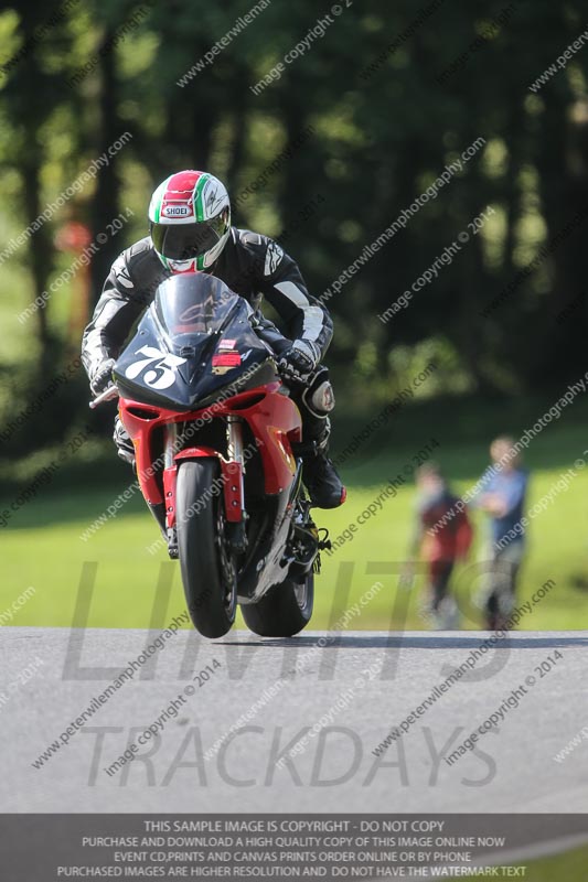 cadwell no limits trackday;cadwell park;cadwell park photographs;cadwell trackday photographs;enduro digital images;event digital images;eventdigitalimages;no limits trackdays;peter wileman photography;racing digital images;trackday digital images;trackday photos