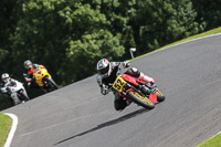 cadwell-no-limits-trackday;cadwell-park;cadwell-park-photographs;cadwell-trackday-photographs;enduro-digital-images;event-digital-images;eventdigitalimages;no-limits-trackdays;peter-wileman-photography;racing-digital-images;trackday-digital-images;trackday-photos