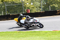 Fast Blue/White Bikes