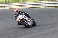 brands-hatch-photographs;brands-no-limits-trackday;cadwell-trackday-photographs;enduro-digital-images;event-digital-images;eventdigitalimages;no-limits-trackdays;peter-wileman-photography;racing-digital-images;trackday-digital-images;trackday-photos